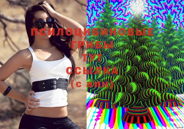 дмт Балахна