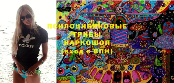 PSILOCYBIN Балабаново