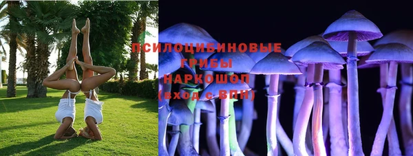 дмт Балахна