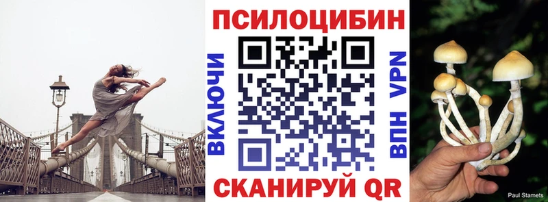 Псилоцибиновые грибы ЛСД  Новомосковск 
